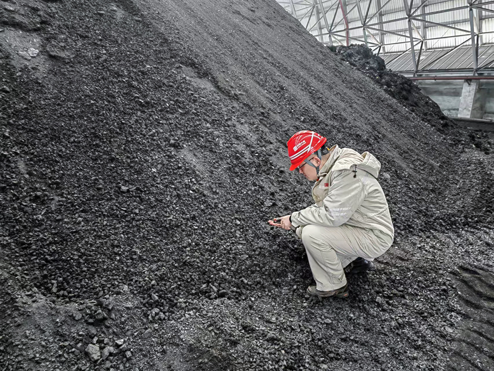 3-大唐东营发电多宝（中国）职工查看煤炭煤质情况a.jpg
