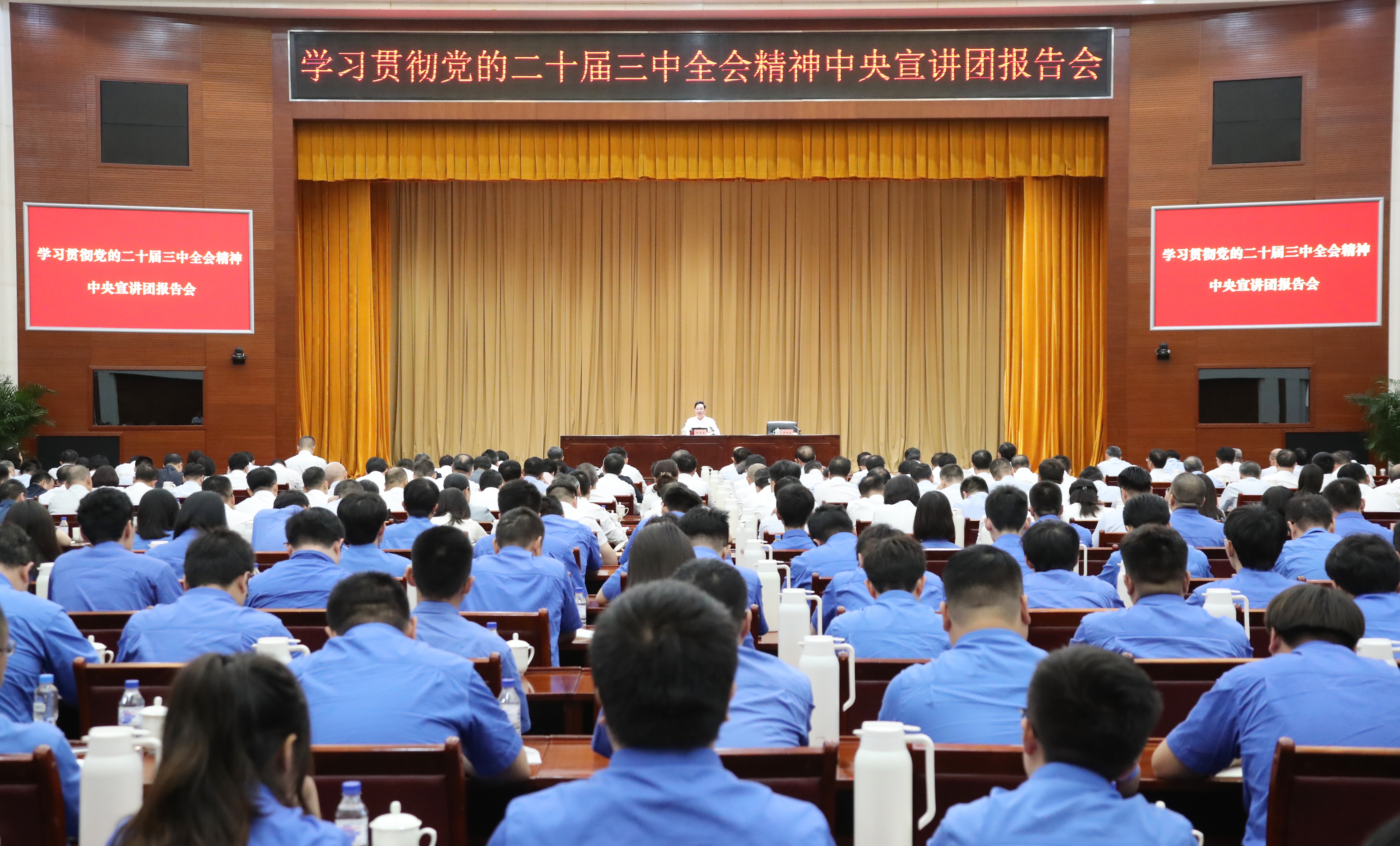 1722387618892098212.jpg 31325395.jpg