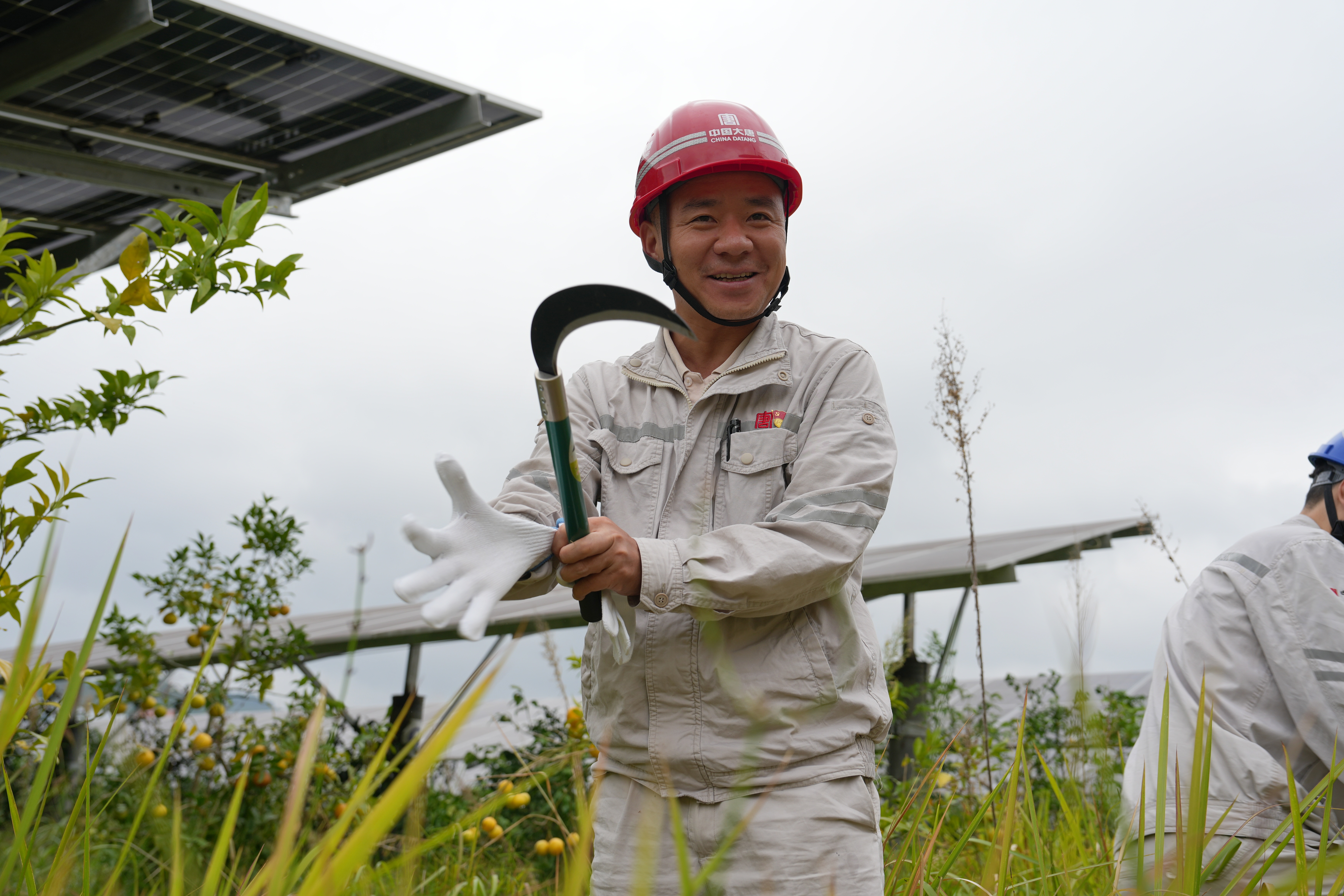 2024年10月12日，亭子口多宝（中国）开展“百日攻坚 农光一体化 我们在行动”除草活动 (3).jpg