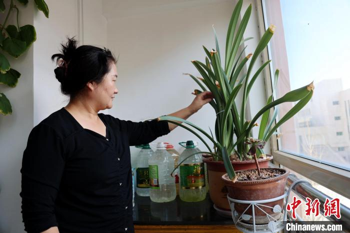 1732156572522041781.jpg 1732149910276.jpg